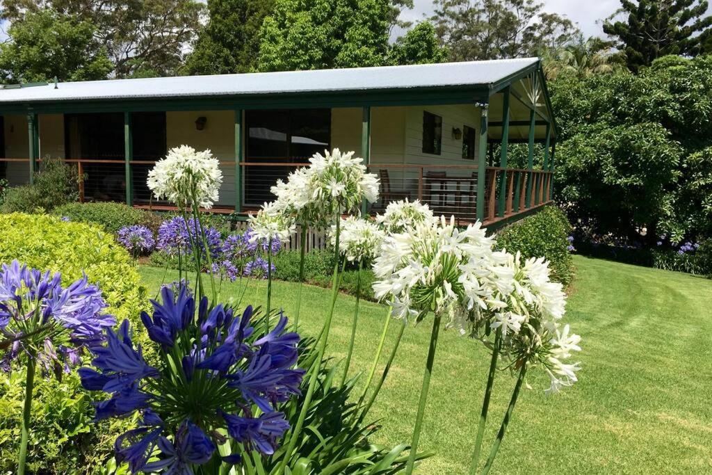 Bundara - Idyllic Getaway In The Mountains Apartamento Mount Tamborine Exterior foto